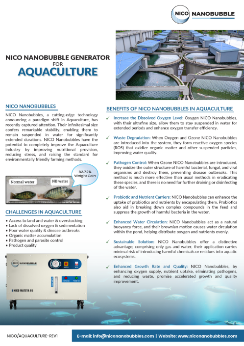 Nano bubble aquaculture