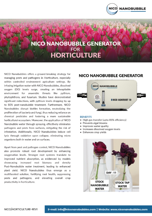 Nano bubble horticulture system