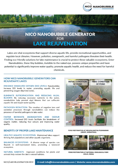 Nano bubble lake restoration